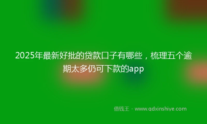 2025年最新好批的贷款口子有哪些，梳理五个逾期太多仍可下款的app