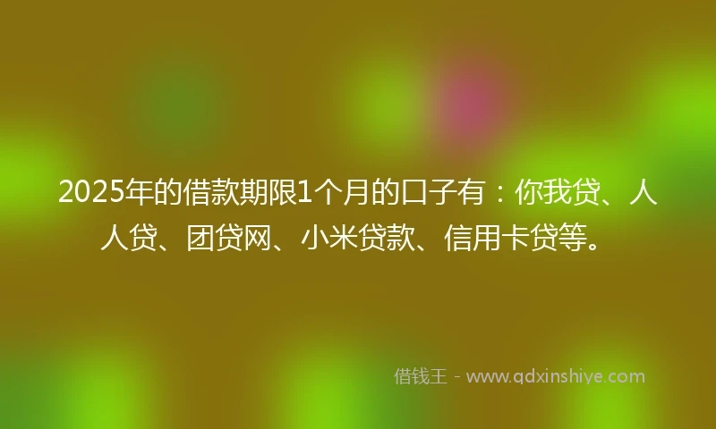2025年的借款期限1个月的口子有：你我贷、人人贷、团贷网、小米贷款、信用卡贷等。
