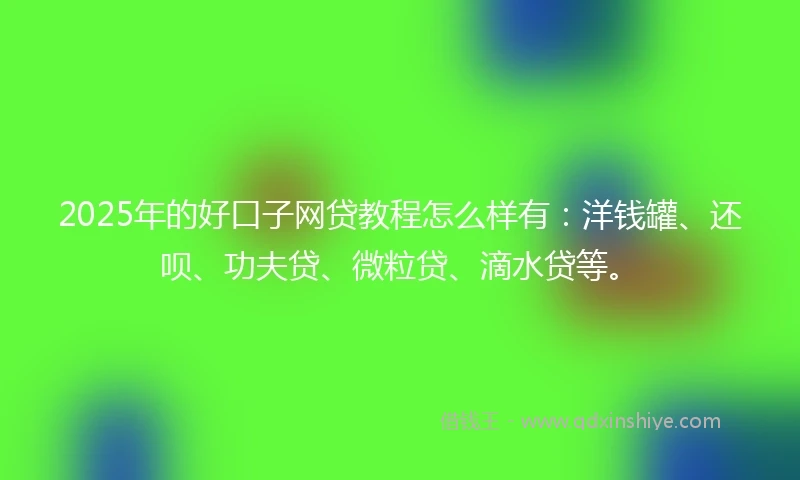2025年的好口子网贷教程怎么样有:洋钱罐、还呗、功夫贷、微粒贷、滴水贷等。