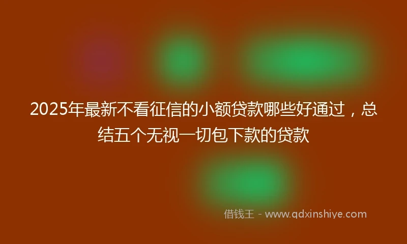 2025年最新不看征信的小额贷款哪些好通过，总结五个无视一切包下款的贷款