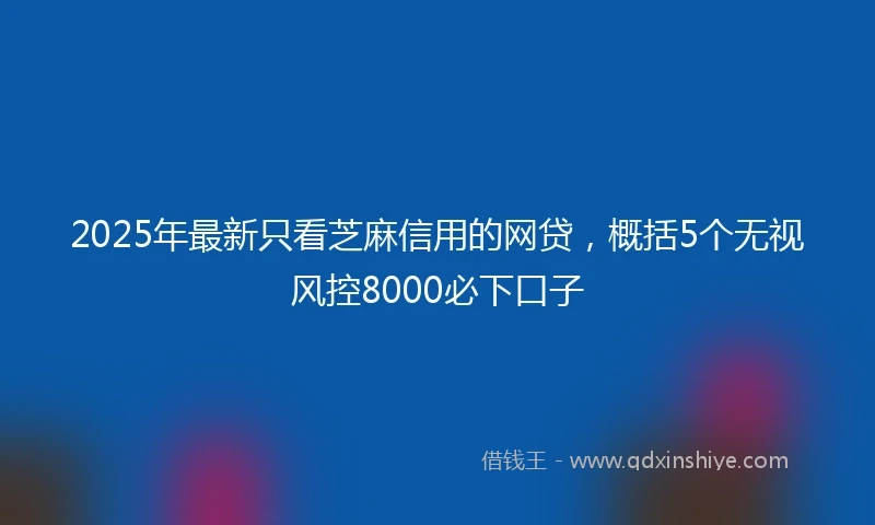 2025年最新只看芝麻信用的网贷，概括5个无视风控8000必下口子