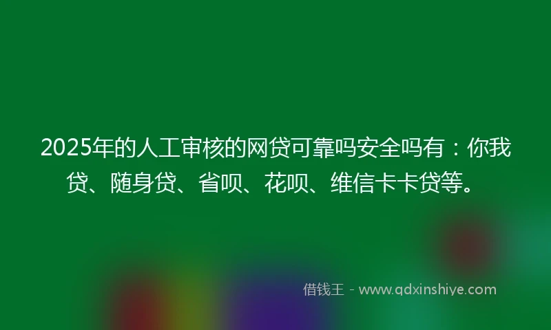 2025年的人工审核的网贷可靠吗安全吗有：你我贷、随身贷、省呗、花呗、维信卡卡贷等。