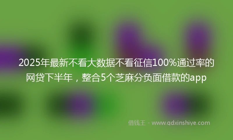 2025年最新不看大数据不看征信100%通过率的网贷下半年，整合5个芝麻分负面借款的app