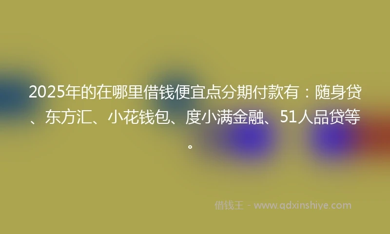 2025年的在哪里借钱便宜点分期付款有：随身贷、东方汇、小花钱包、度小满金融、51人品贷等。