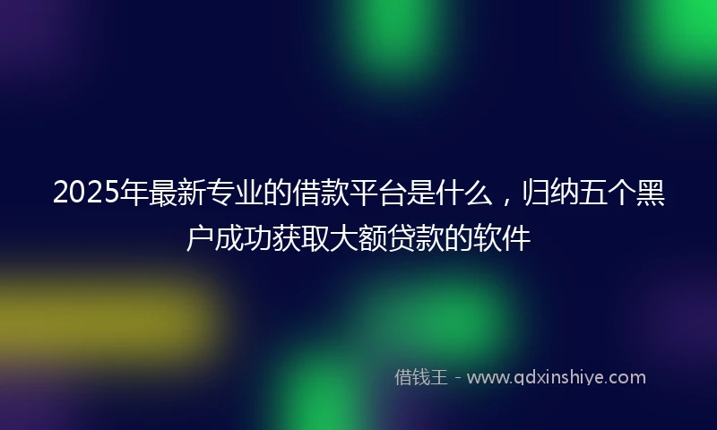 2025年最新专业的借款平台是什么，归纳五个黑户成功获取大额贷款的软件