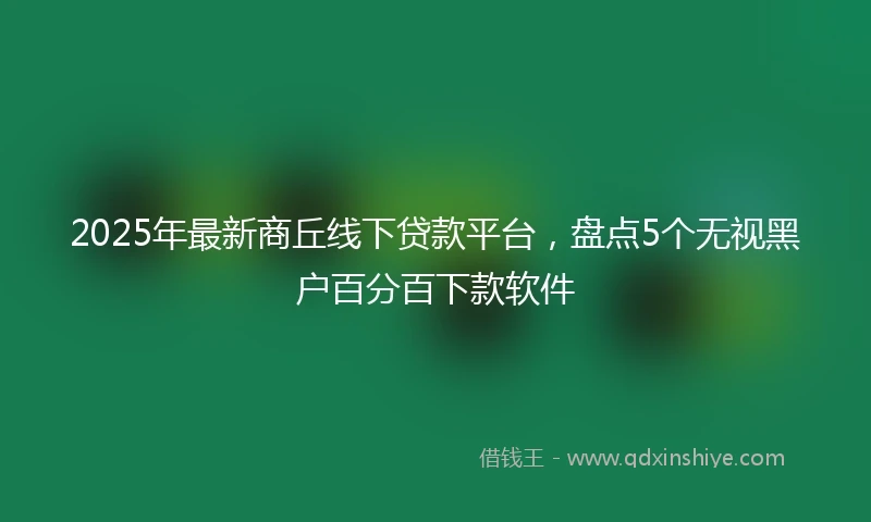2025年最新商丘线下贷款平台,盘点5个无视黑户百分百下款软件