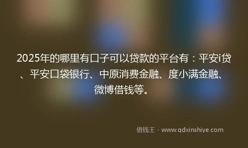 2025年的哪里有口子可以贷款的平台有：平安i贷、平安口袋银行、中原消费金融、度小满金融、微博借钱等。