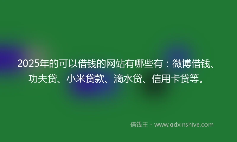 2025年的可以借钱的网站有哪些有：微博借钱、功夫贷、小米贷款、滴水贷、信用卡贷等。