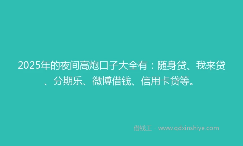 2025年的夜间高炮口子大全有：随身贷、我来贷、分期乐、微博借钱、信用卡贷等。
