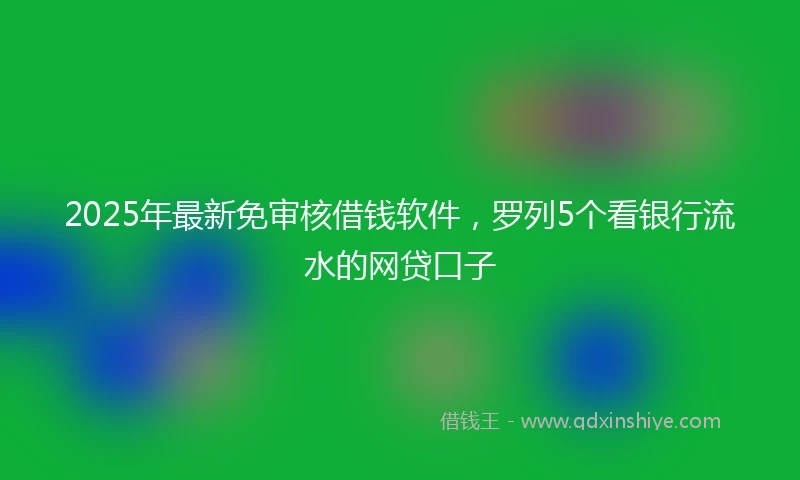 2025年最新免审核借钱软件，罗列5个看银行流水的网贷口子