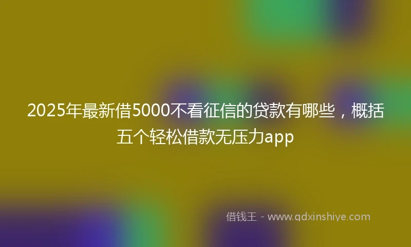 2025年最新借5000不看征信的贷款有哪些，概括五个轻松借款无压力app