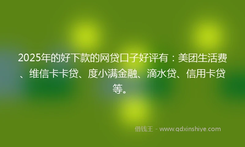 2025年的好下款的网贷口子好评有：美团生活费、维信卡卡贷、度小满金融、滴水贷、信用卡贷等。