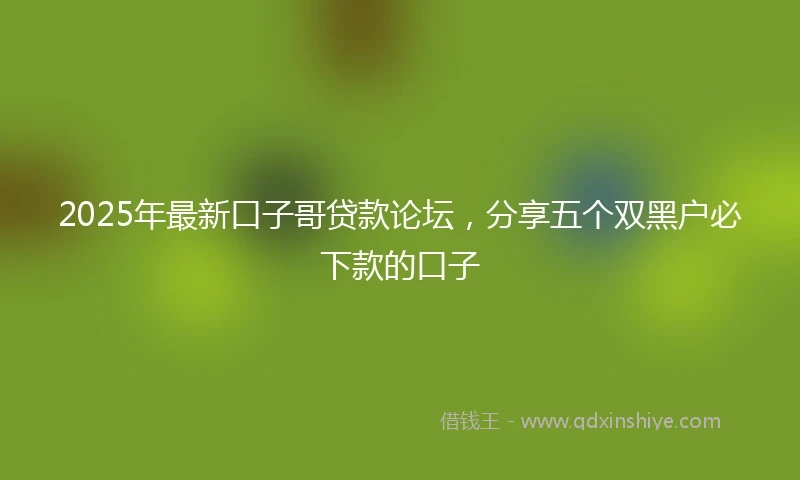 2025年最新口子哥贷款论坛，分享五个双黑户必下款的口子