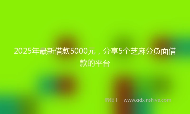 2025年最新借款5000元，分享5个芝麻分负面借款的平台