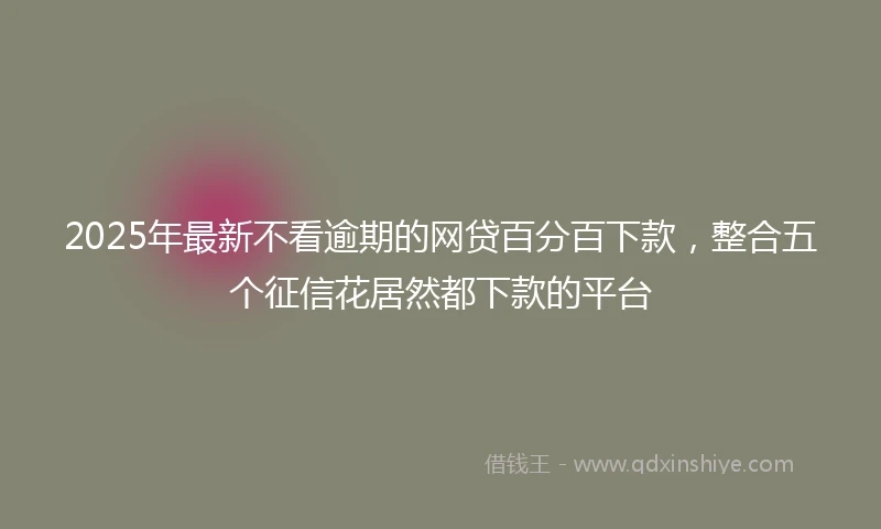 2025年最新不看逾期的网贷百分百下款，整合五个征信花居然都下款的平台