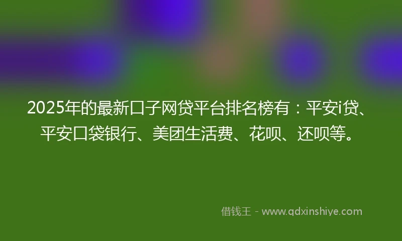 2025年的最新口子网贷平台排名榜有：平安i贷、平安口袋银行、美团生活费、花呗、还呗等。