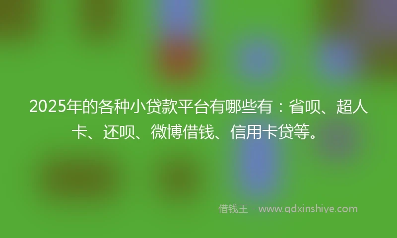 2025年的各种小贷款平台有哪些有：省呗、超人卡、还呗、微博借钱、信用卡贷等。