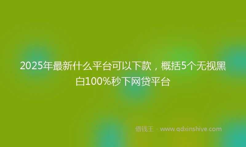 2025年最新什么平台可以下款，概括5个无视黑白100%秒下网贷平台