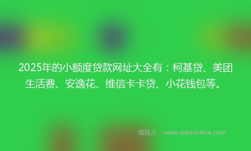 2025年的小额度贷款网址大全有：柯基贷、美团生活费、安逸花、维信卡卡贷、小花钱包等。