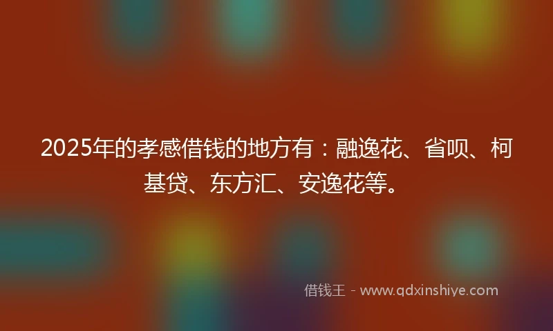 2025年的孝感借钱的地方有：融逸花、省呗、柯基贷、东方汇、安逸花等。
