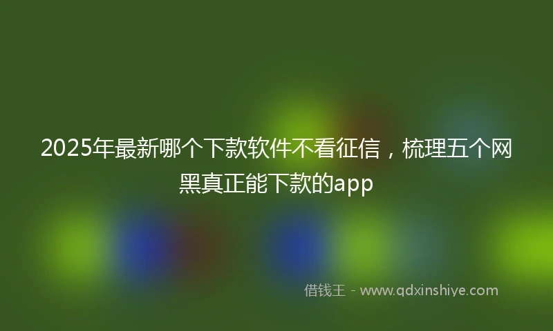 2025年最新哪个下款软件不看征信，梳理五个网黑真正能下款的app