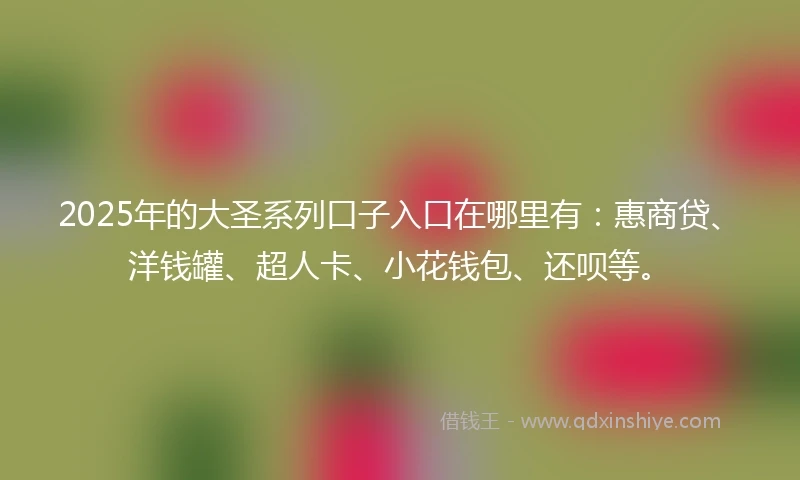 2025年的大圣系列口子入口在哪里有：惠商贷、洋钱罐、超人卡、小花钱包、还呗等。