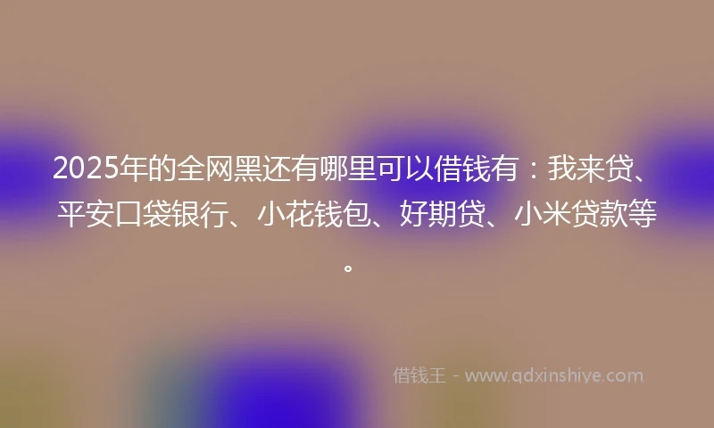 2025年的全网黑还有哪里可以借钱有：我来贷、平安口袋银行、小花钱包、好期贷、小米贷款等。