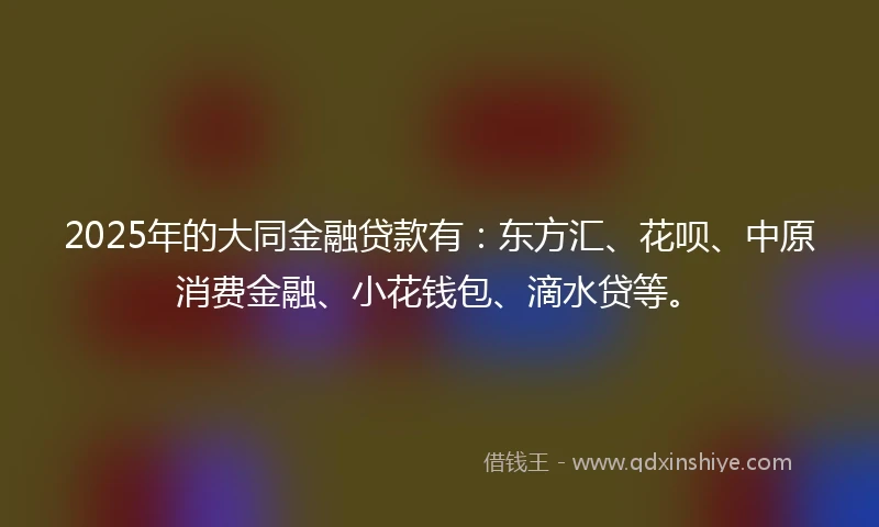 2025年的大同金融贷款有：东方汇、花呗、中原消费金融、小花钱包、滴水贷等。