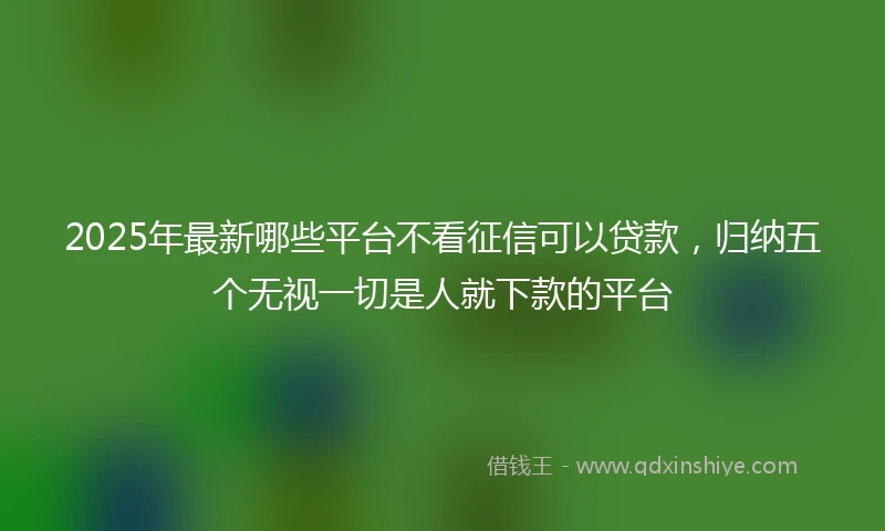 2025年最新哪些平台不看征信可以贷款，归纳五个无视一切是人就下款的平台