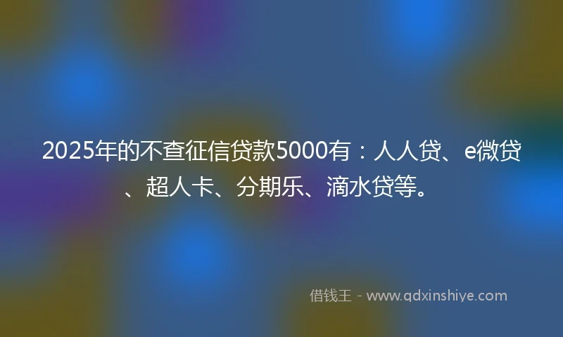 2025年的不查征信贷款5000有：人人贷、e微贷、超人卡、分期乐、滴水贷等。