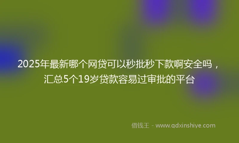 2025年最新哪个网贷可以秒批秒下款啊安全吗，汇总5个19岁贷款容易过审批的平台