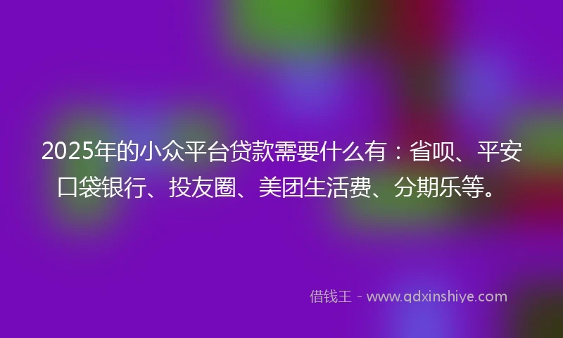 2025年的小众平台贷款需要什么有：省呗、平安口袋银行、投友圈、美团生活费、分期乐等。