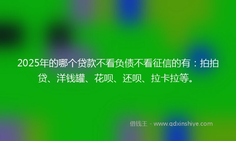 2025年的哪个贷款不看负债不看征信的有：拍拍贷、洋钱罐、花呗、还呗、拉卡拉等。