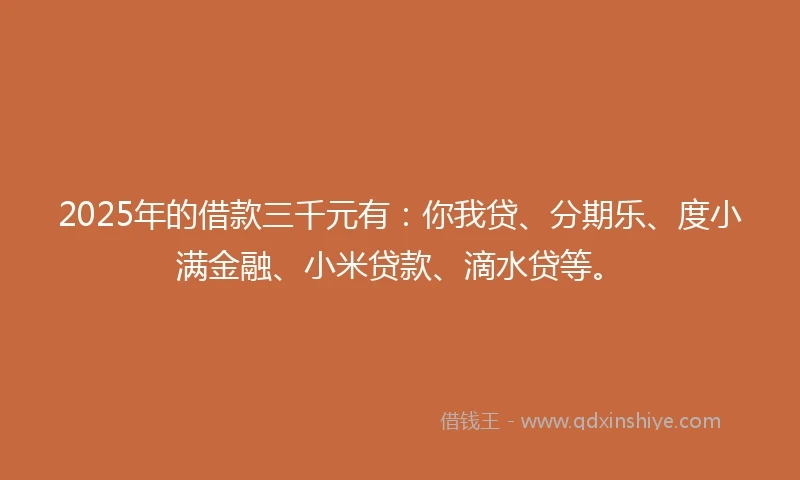 2025年的借款三千元有：你我贷、分期乐、度小满金融、小米贷款、滴水贷等。