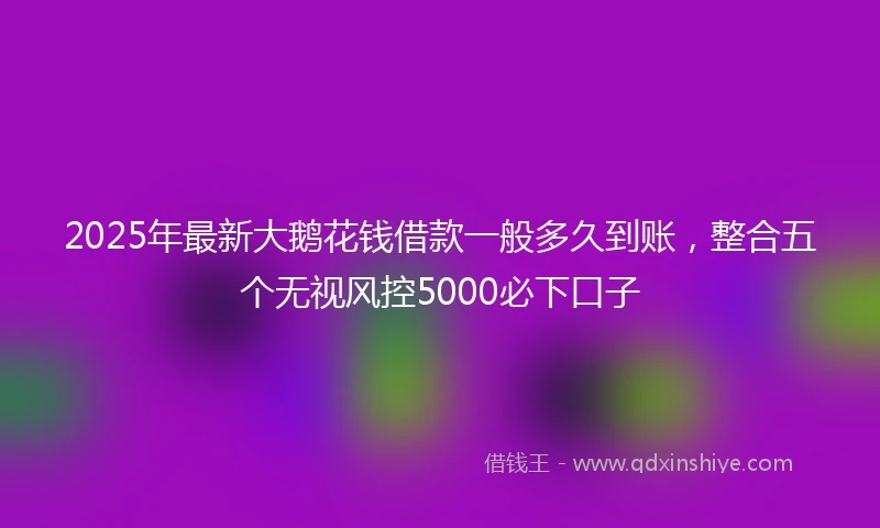 2025年最新大鹅花钱借款一般多久到账，整合五个无视风控5000必下口子
