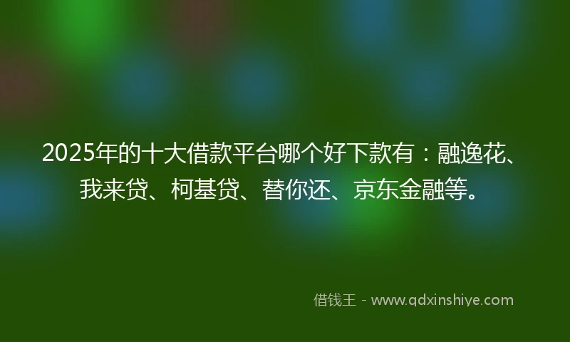 2025年的十大借款平台哪个好下款有：融逸花、我来贷、柯基贷、替你还、京东金融等。