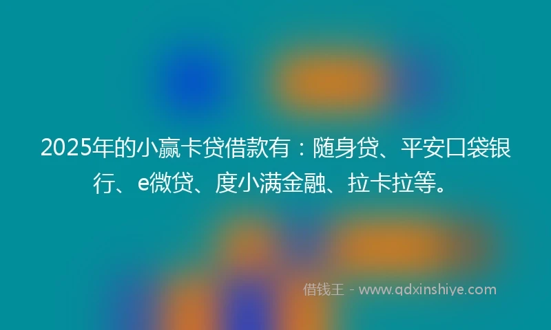 2025年的小赢卡贷借款有：随身贷、平安口袋银行、e微贷、度小满金融、拉卡拉等。