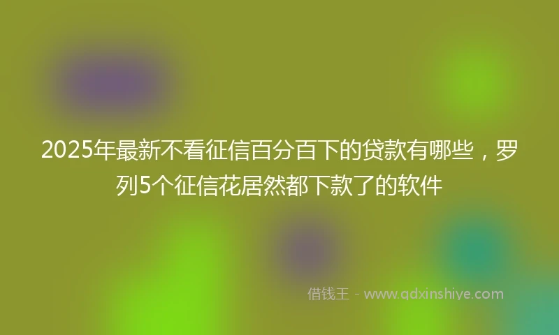 2025年最新不看征信百分百下的贷款有哪些，罗列5个征信花居然都下款了的软件