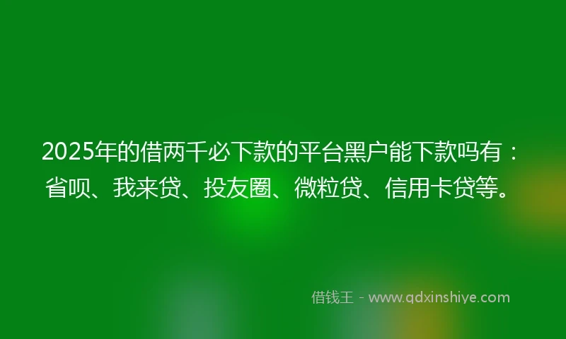 2025年的借两千必下款的平台黑户能下款吗有：省呗、我来贷、投友圈、微粒贷、信用卡贷等。