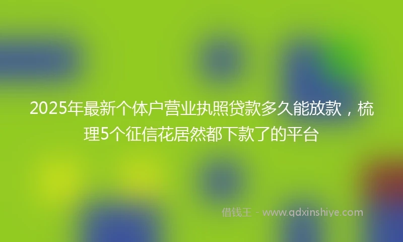 2025年最新个体户营业执照贷款多久能放款，梳理5个征信花居然都下款了的平台
