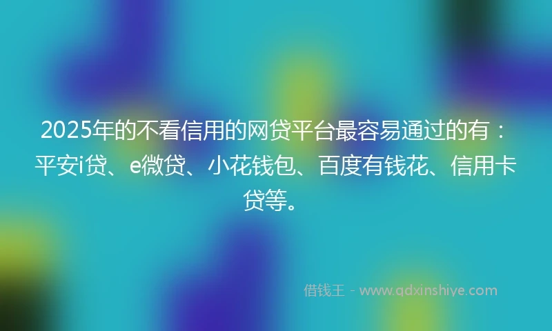 2025年的不看信用的网贷平台最容易通过的有：平安i贷、e微贷、小花钱包、百度有钱花、信用卡贷等。