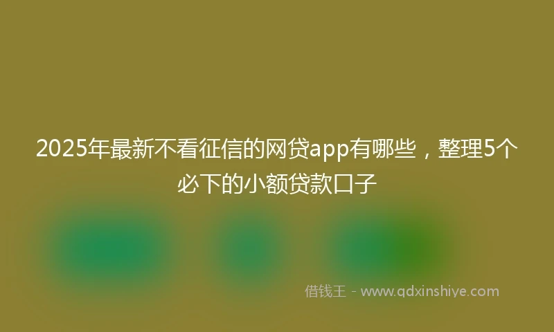 2025年最新不看征信的网贷app有哪些，整理5个必下的小额贷款口子