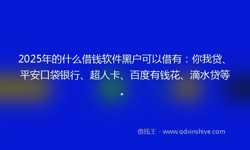 2025年的什么借钱软件黑户可以借有：你我贷、平安口袋银行、超人卡、百度有钱花、滴水贷等。