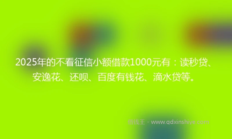 2025年的不看征信小额借款1000元有：读秒贷、安逸花、还呗、百度有钱花、滴水贷等。