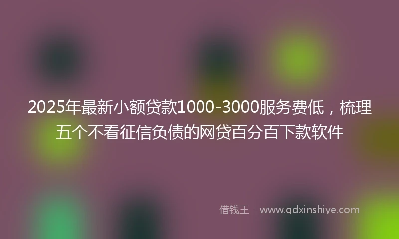 2025年最新小额贷款1000-3000服务费低，梳理五个不看征信负债的网贷百分百下款软件