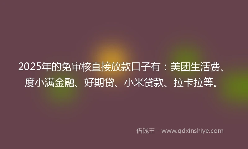 2025年的免审核直接放款口子有：美团生活费、度小满金融、好期贷、小米贷款、拉卡拉等。