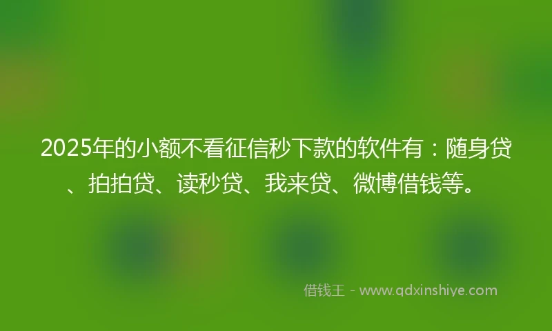 2025年的小额不看征信秒下款的软件有：随身贷、拍拍贷、读秒贷、我来贷、微博借钱等。