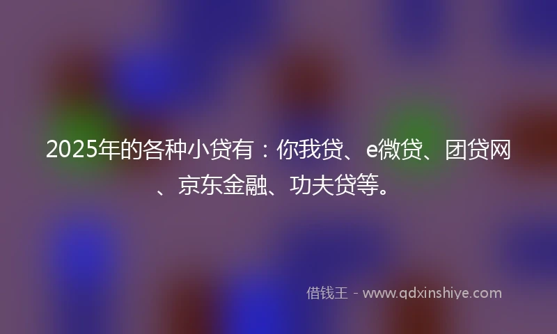 2025年的各种小贷有：你我贷、e微贷、团贷网、京东金融、功夫贷等。