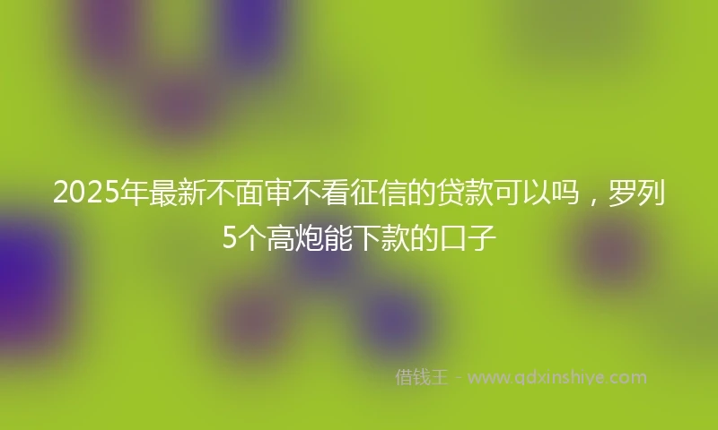 2025年最新不面审不看征信的贷款可以吗，罗列5个高炮能下款的口子