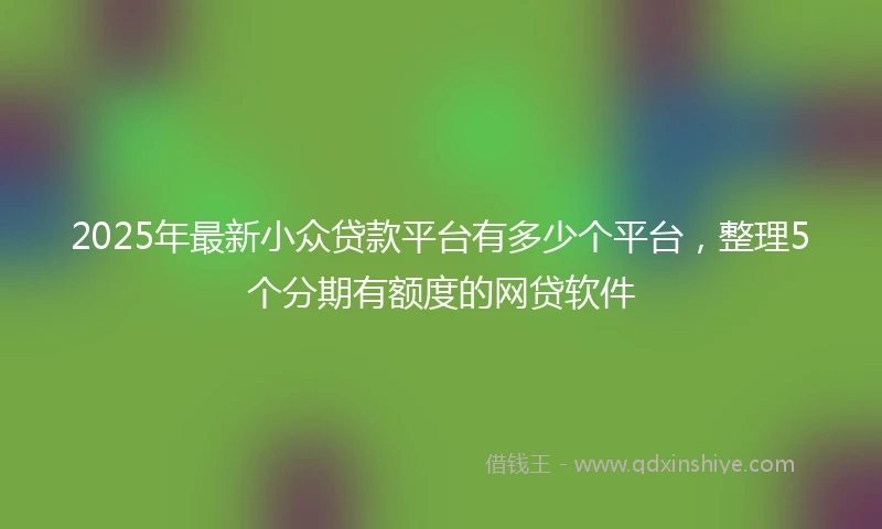 2025年最新小众贷款平台有多少个平台，整理5个分期有额度的网贷软件